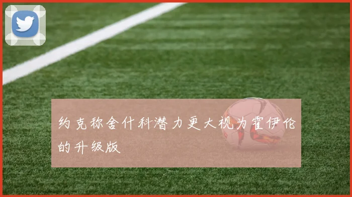约克称舍什科潜力更大视为霍伊伦的升级版