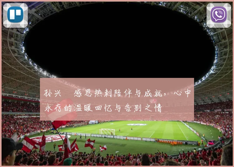 孙兴慜感恩热刺陪伴与成就，心中永存的温暖回忆与告别之情