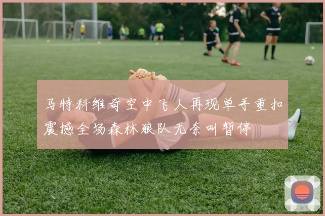 马特科维奇空中飞人再现单手重扣震撼全场森林狼队无奈叫暂停
