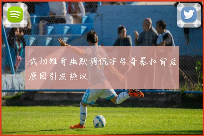 武切维奇幽默调侃字母哥暴扣背后原因引发热议