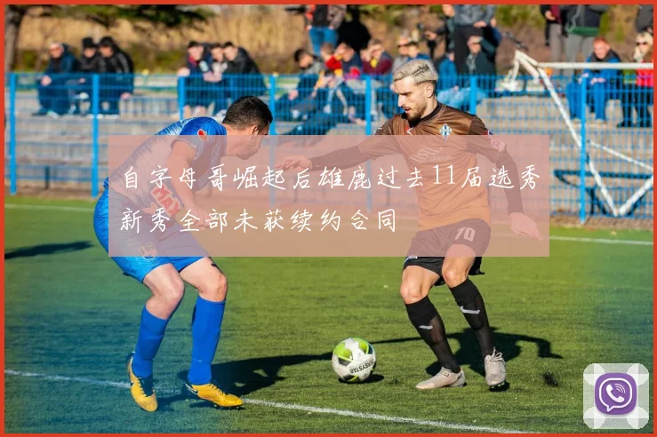 自字母哥崛起后雄鹿过去11届选秀新秀全部未获续约合同