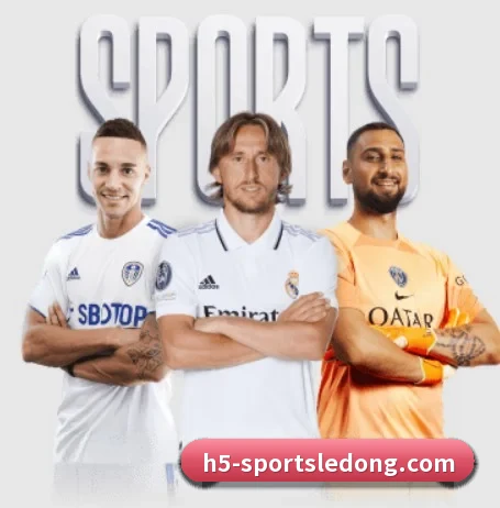 从比分速递到赛后复盘的完整链路 - 多运动项目内容板块 | LDSPORTS